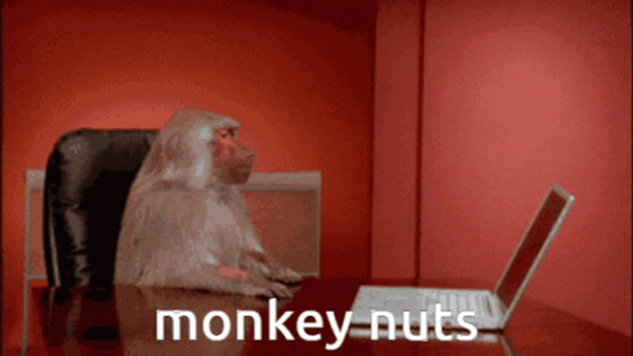 Monkey Computer Going Nuts GIF
