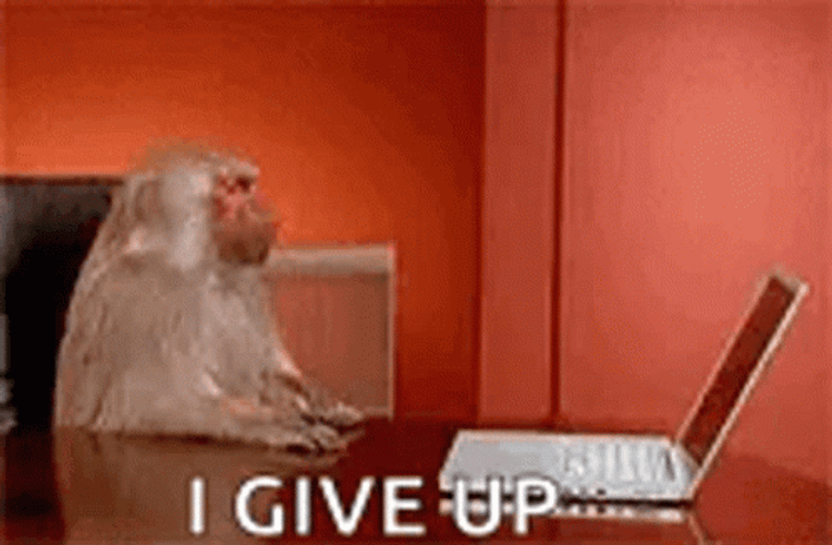 Monkey Computer I Give Up GIF