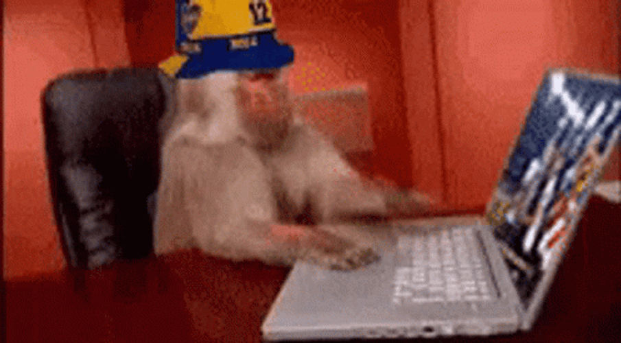 Monkey Computer Wearing Hat GIF