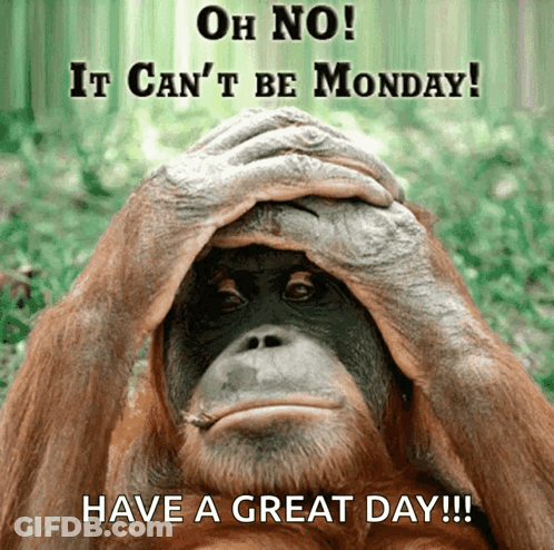 Monkey Covering Face Saying Oh No It Can't Be Monday GIF