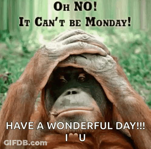 Monkey Covering Face Saying Oh No Monday GIF