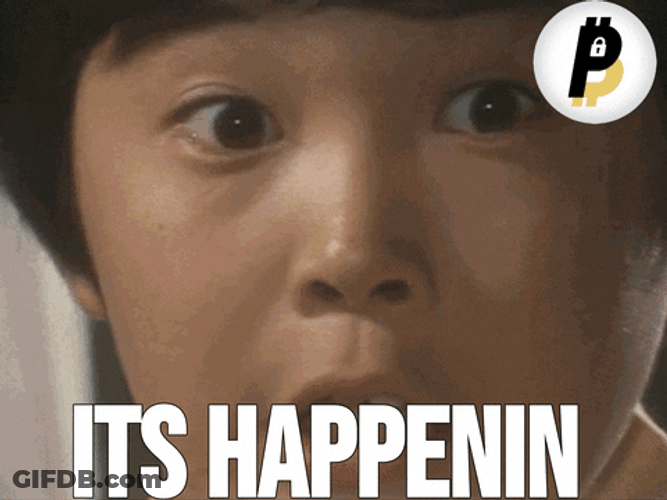 Monkey Crypto Slide Show Meme GIF