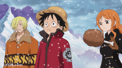 Monkey D Luffy Sanji And Nami Standing In Snow Wearing SSS Jackets GIF