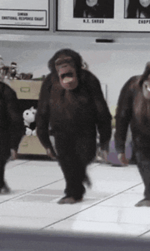 Monkey Dance Funny GIF