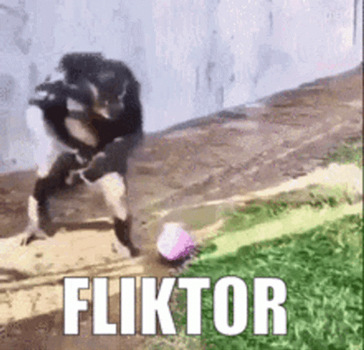 Monkey Dancing Backwards Fliktor GIF