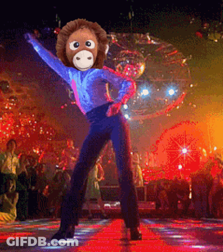 Monkey Dancing In Front Of Disco Ball In Club GIF