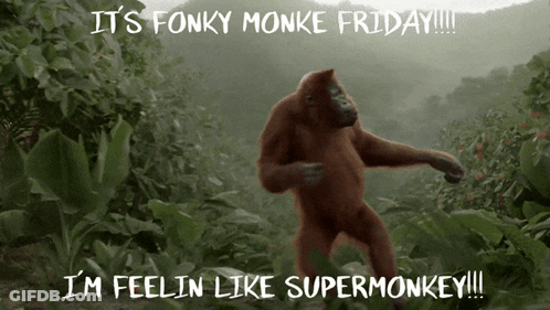 Monkey Dancing In Jungle Fonky Monke Friday GIF