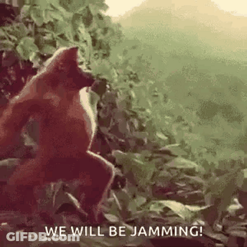 Monkey Dancing We Will Be Jamming GIF