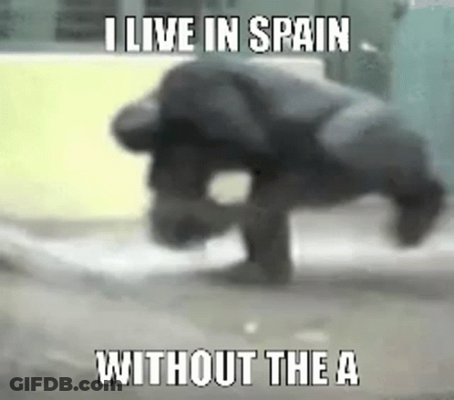 Monkey Doing Handstand Saying I Live In Spain Without The A GIF