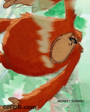 MONKEY DOMINO By La Guarimba Film Festival GIF