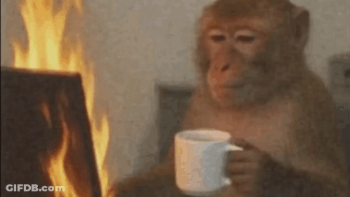 Monkey Drinking Coffee In Front Of Fire GIF