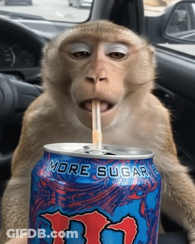 Monkey Drinking More Sugar Can With Straw GIF