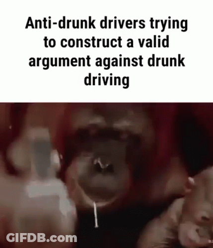 Monkey Drinking Wine GIF