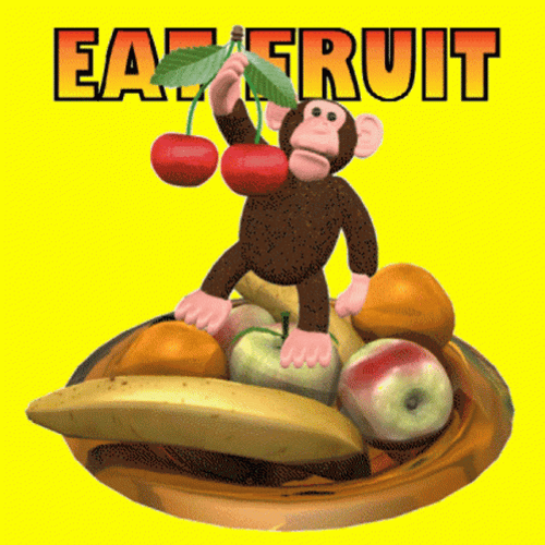 Monkey Eat Fruit GIF