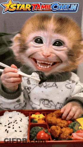 Monkey Eating Food With Star Tamil Chat.in Logo GIF