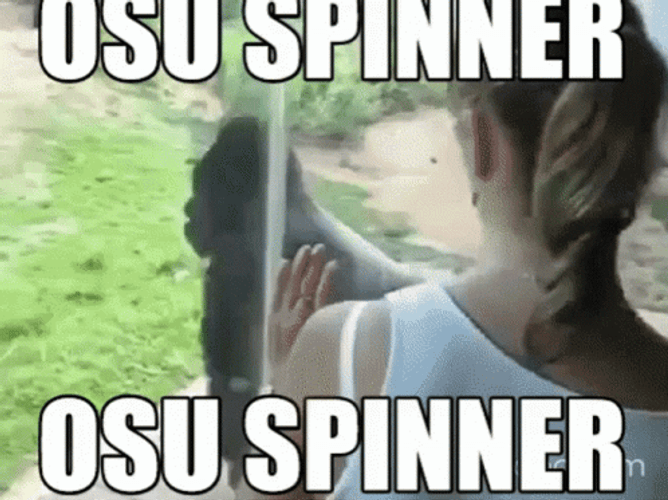 Monkey Entry In Osu Spinner Challenge GIF