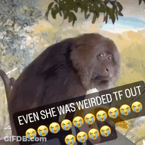 Monkey Even She Was Weirded TF Out GIF