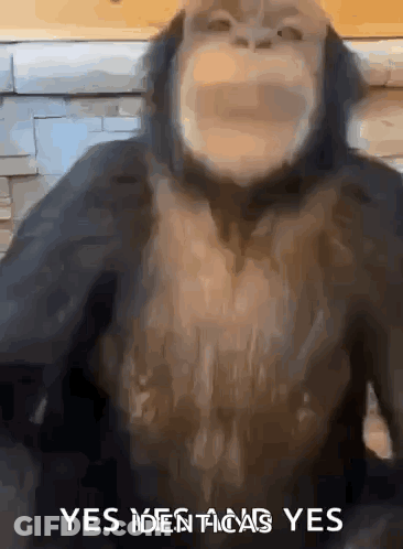 Monkey Face Saying Yes Identified Yes GIF