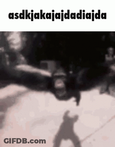 Monkey Flying Through Air GIF