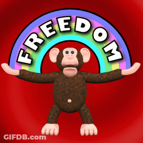 Monkey Freedom Animation GIF