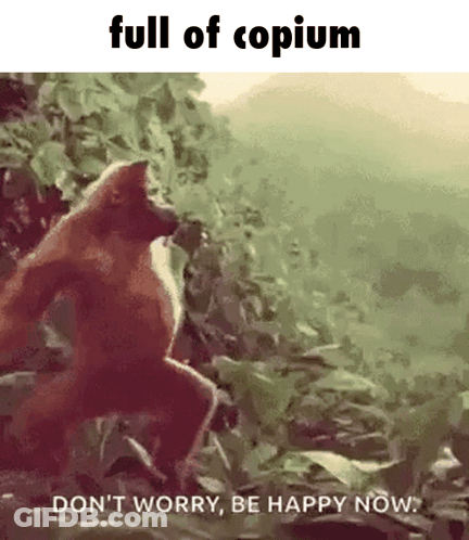 Monkey Full Of Copium GIF