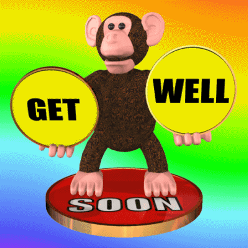 Monkey Get Well Soon GIF