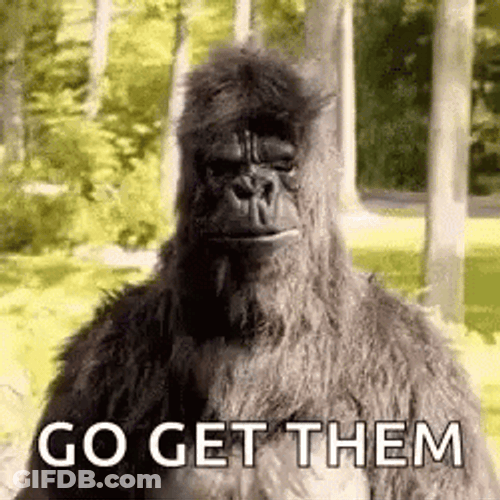 Monkey Go Get Em GIF