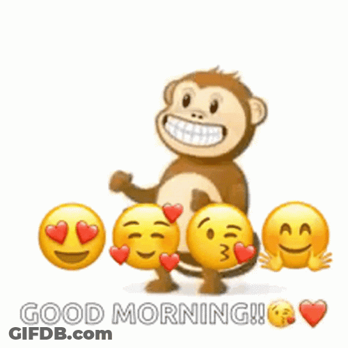 Monkey Good Morning Thursday Funny GIF