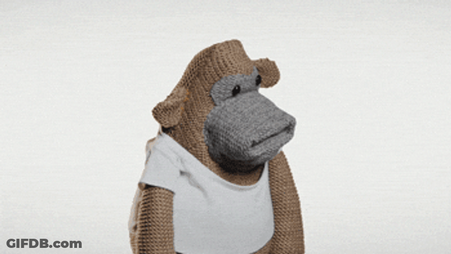 Monkey Got Angry Says Hmph GIF