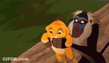 Monkey Holding Baby Lion GIF