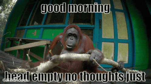 Monkey Holding Branch Saying Good Morning GIF
