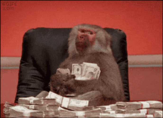 Monkey Holding Funny Money GIF