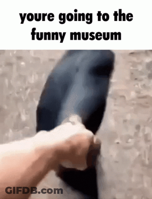 Monkey Holding Hands Museum GIF