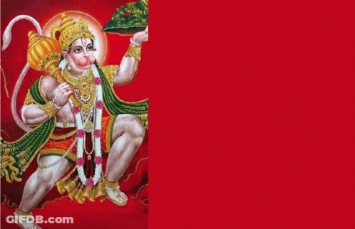 Monkey Holding Leaf With Red Background GIF