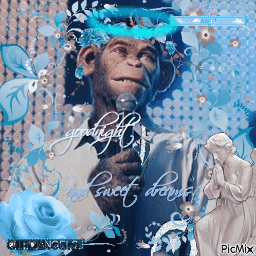 Monkey Holding Microphone Goodnight My Sweet Dreams GIF
