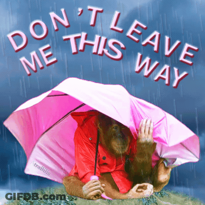 Monkey Holding Pink Umbrella Saying Don't Leave Me This Way GIF