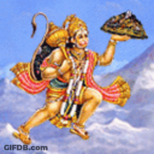 Monkey Holding Plate Of Food GIF