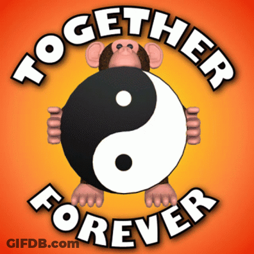Monkey Holding Yin Yang Saying Together Forever GIF