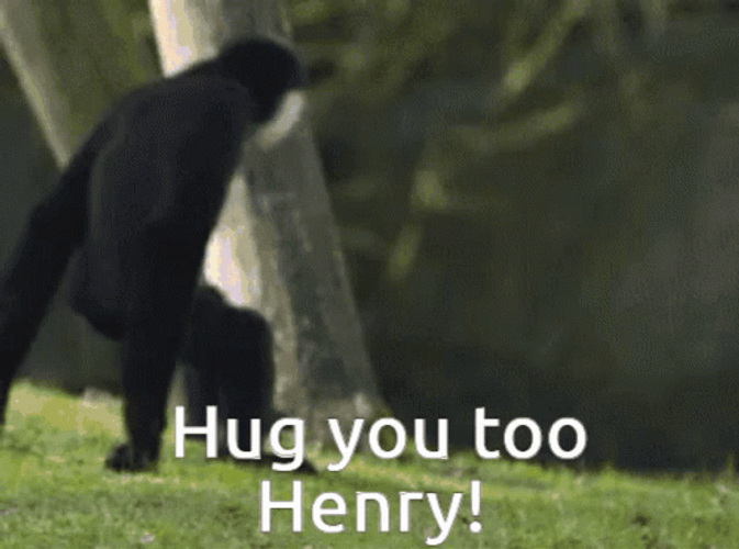 Monkey Hug You Too Henry Funny Hug GIF