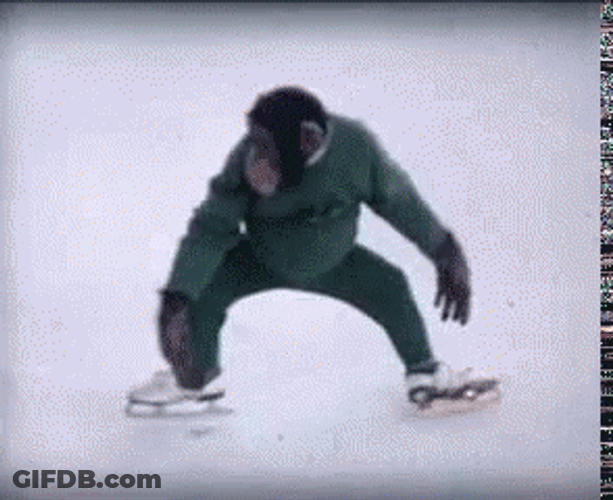 Monkey Ice Skating GIF