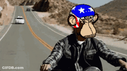 Monkey In American Flag Helmet Riding Motorcycle GIF