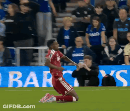Monkey In Belgium Jersey Holding Flag GIF