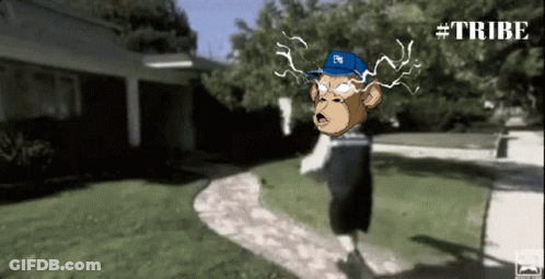 Monkey In Blue Hat Saying Tribe GIF