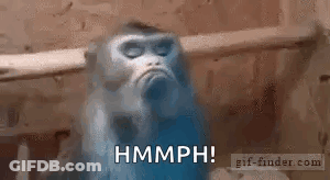 Monkey In Cage Making Funny Face Saying Hmph GIF