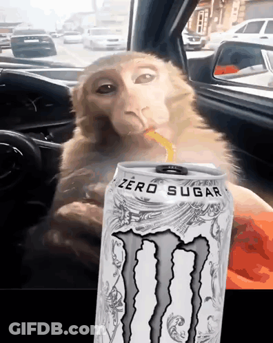 Monkey In Car Drinking Monster Energy GIF