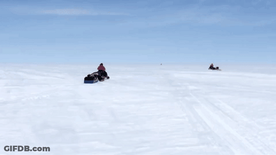 Monkey In Greenland GIF