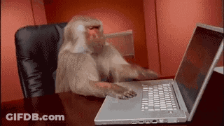 Monkey In Headset In Front Of Computer Saying Go Bills GIF