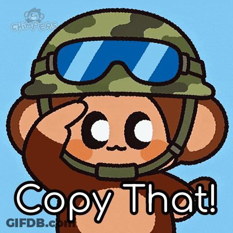 Monkey In Helmet And Goggles Saying Copy That GIF