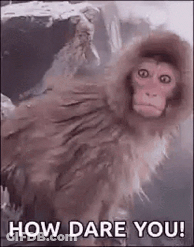 Monkey In Hooded Jacket Bathtub How Dare You GIF