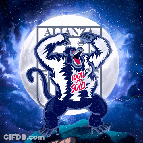Monkey In Local And Solo Shirt GIF